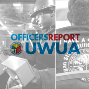 National Human Rights Committee, Officers Report 2015, UWUA 30th Constitutional Convention