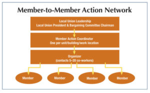 Member-to-Member Action Network