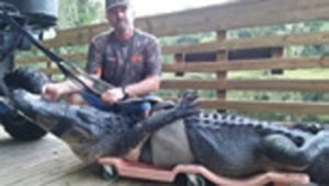 Securing contract improvements is one way Local 604 President Robb Upthegrove contributes to his Florida community. Another is as a licensed trapper, removing alligators from populated areas and releasing them in the wild.